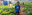 Free State Homestead gardening